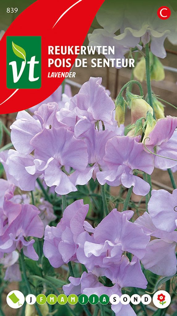 Semienka levandule sladkej - cca 3 gr | VT_839 Obrázok produktu 