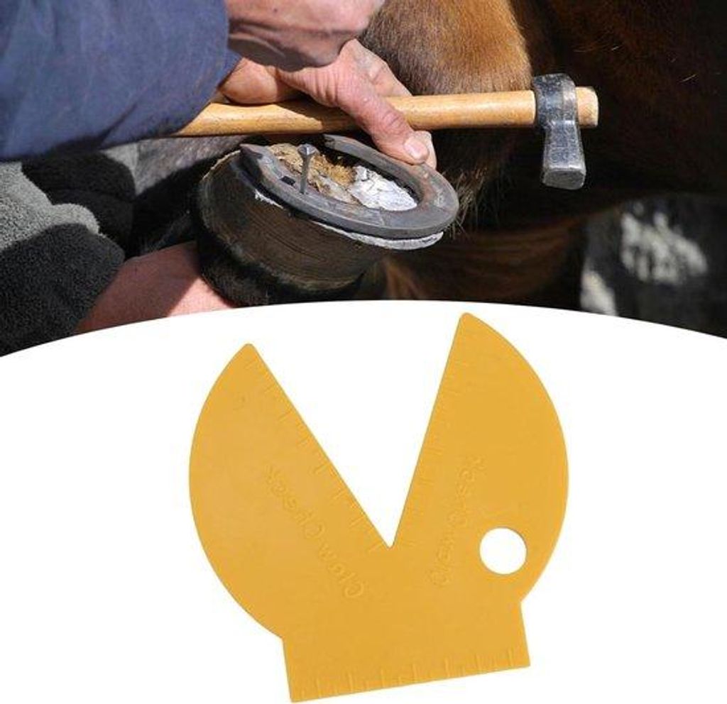 Metallisch Hoef Trimmen Werkzeug - Ingenieur Kunststoff - Diagnose Ruler
