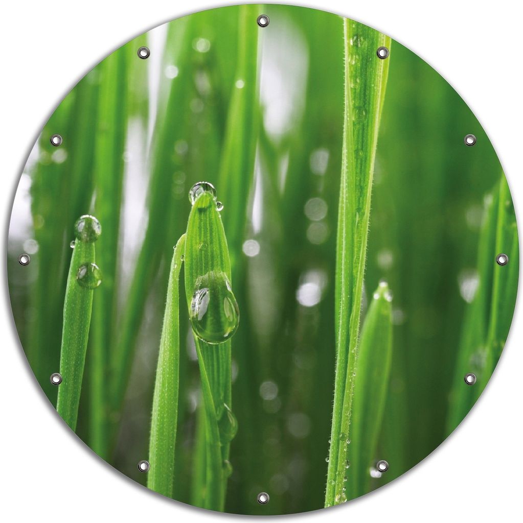 Wallario rundes Outdoor-Poster für Garten oder Balkon, Motiv Wassertropfen an Grashalmen, 90 cm Durchmesser
