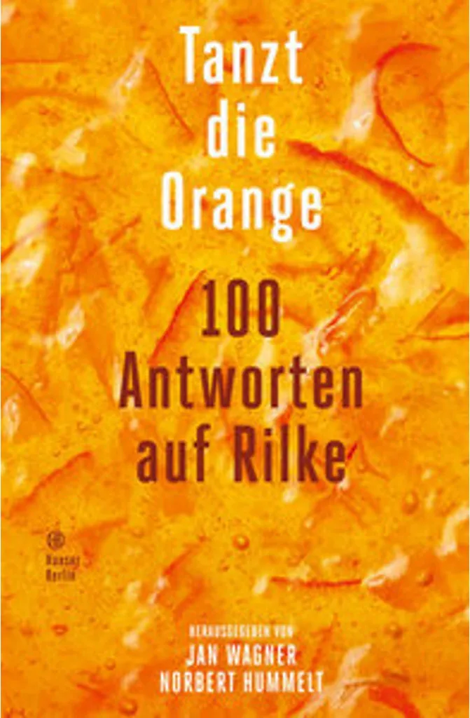Thé Tanzt die Orange Digestion Facile et Énergie Naturelle Orange Bio