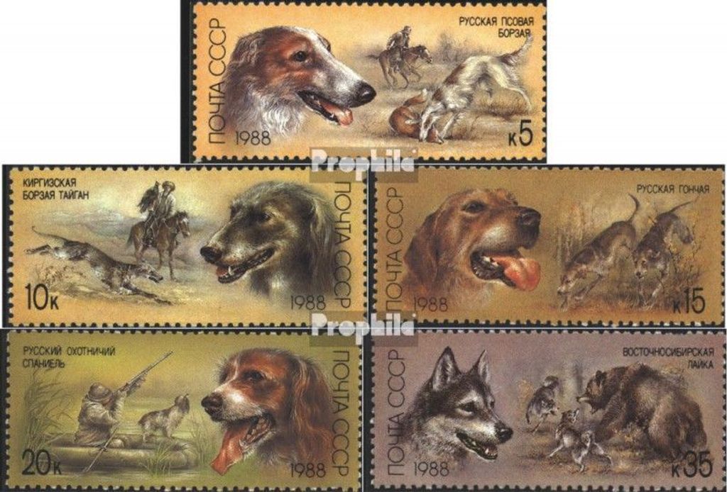 Briefmarken Sowjetunion 1988 Mi 5827-5831 (kompl.Ausg.) gestempelt Jagdhunde