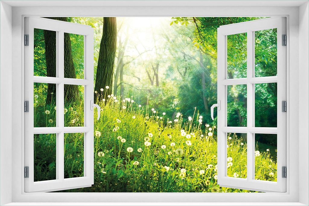 Wallario Wandbild aus Acryl, 60 x 90 cm, freischwebende Optik - Pusteblumen im Wald mit einfallenden Sonnenstrahlen mit Fenster-Illusion