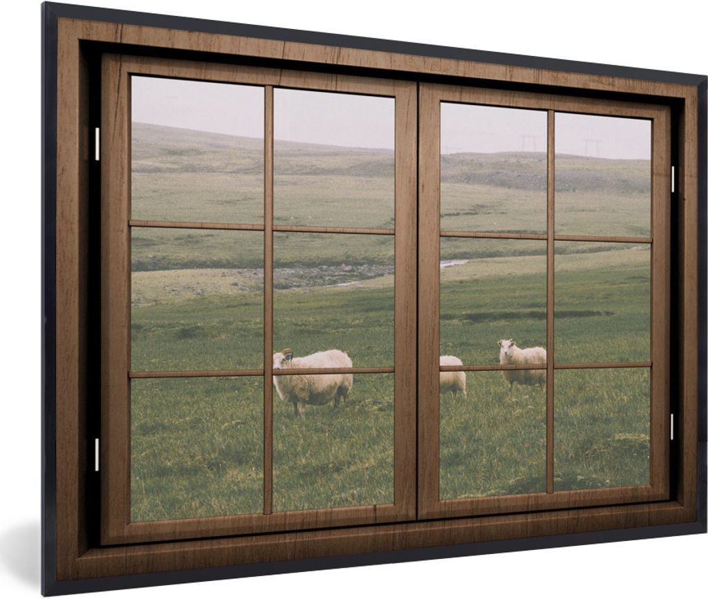 MuchoWow MuchoWow Gerahmtes Poster Durchsichtig - Schafe - Tiere 90x60 cm - Poster mit zchwarzem Bilderrahmen - Fotorahmen - Foto-Plakat