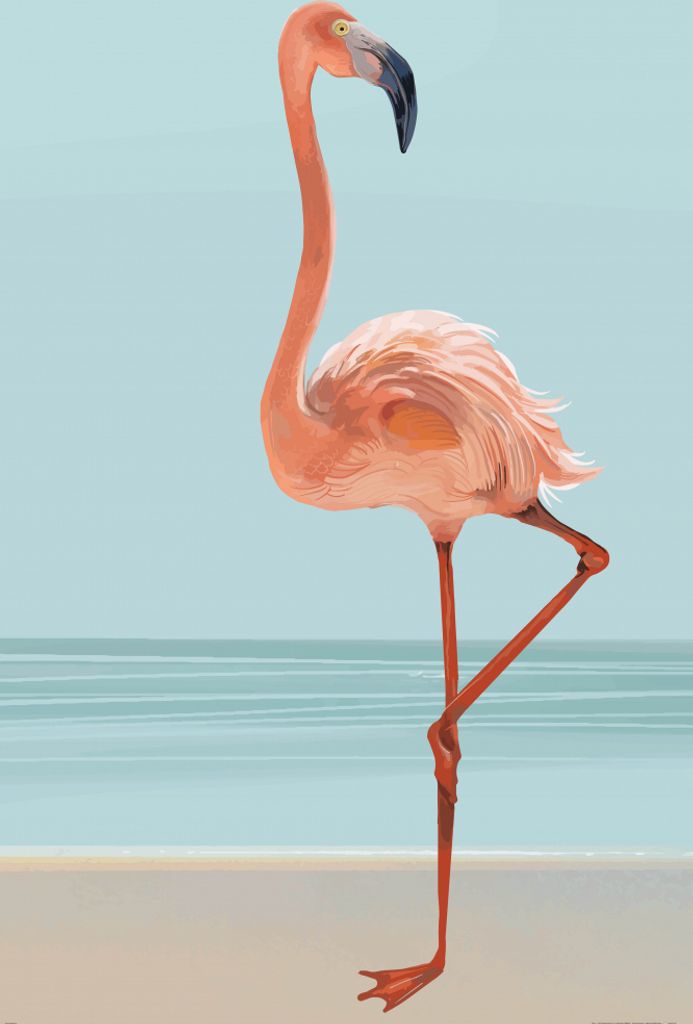 Flamingos Kunstdruck Bild - Ein Schöner Flamingo (180 x 120 cm)