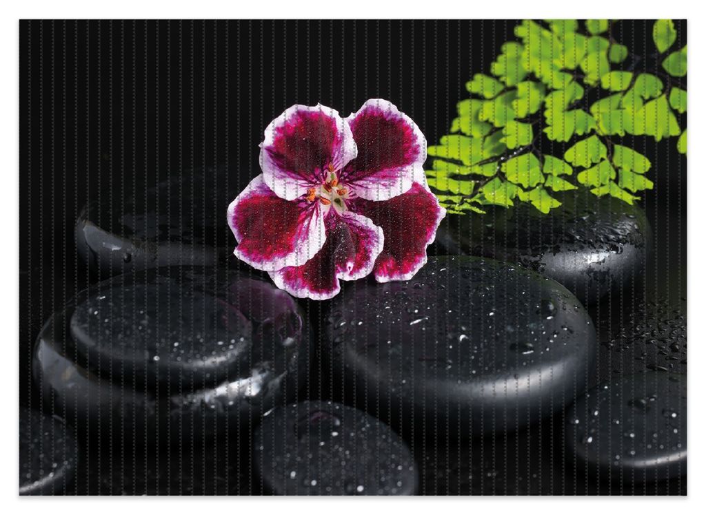 Wallario Duschmatte Antirutschmatte Badmatte Fußmatte Geranienblüte auf schwarzen Steinen, benetzt mit Wassertropfen, Größe ca. 70 x 50 cm