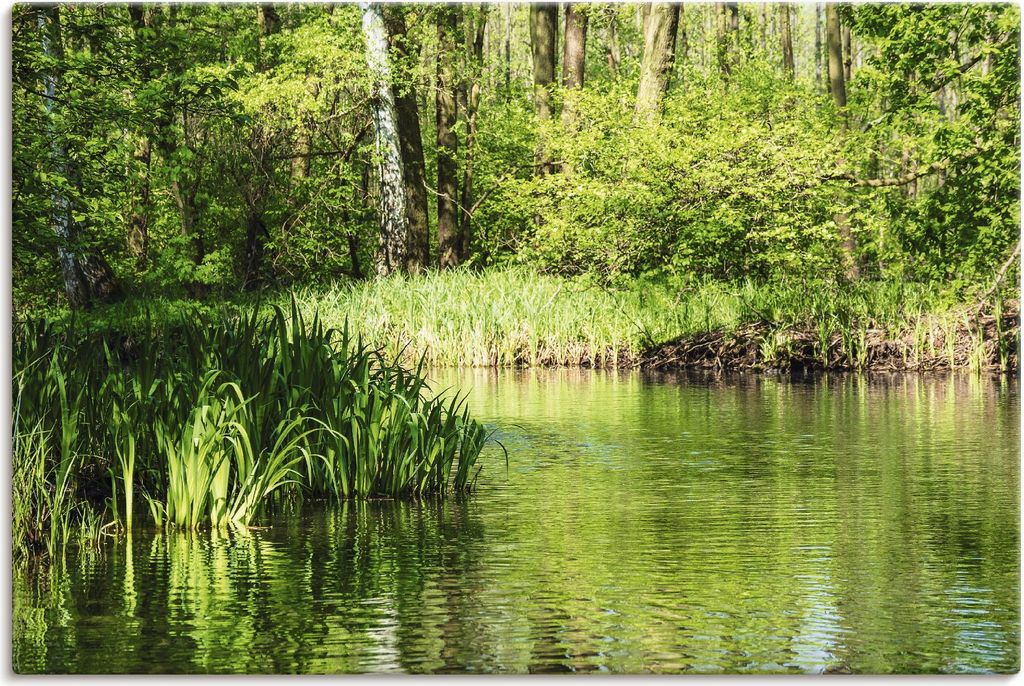 ARTland Leinwandbild Landschaft im Spreewald bei Lübbenau II Größe: 60x40 cm