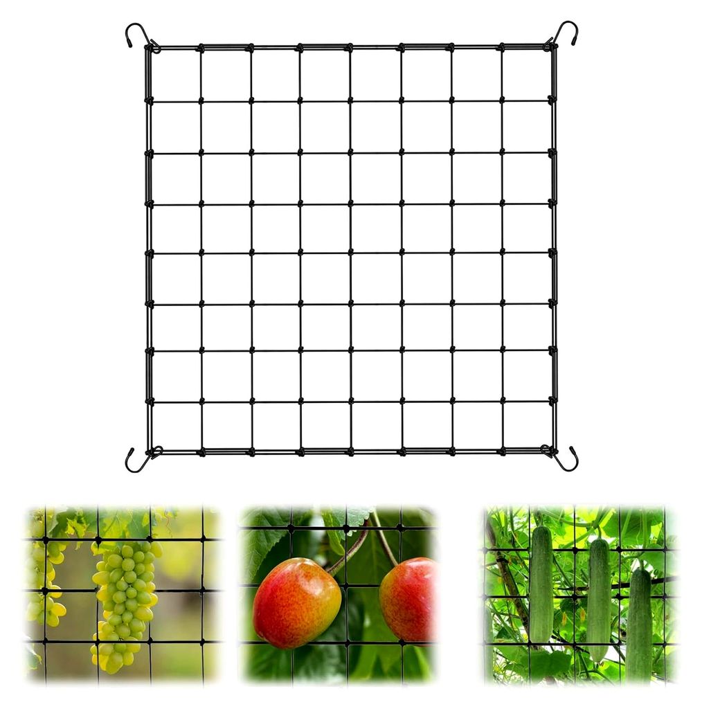 Scrog Netz 100x100cm, Pflanzennetz mit 4 Haken für Gemüse und Obst, dehnbares elastisches Spaliernetz für Garten und Balkon (100 x 100cm)