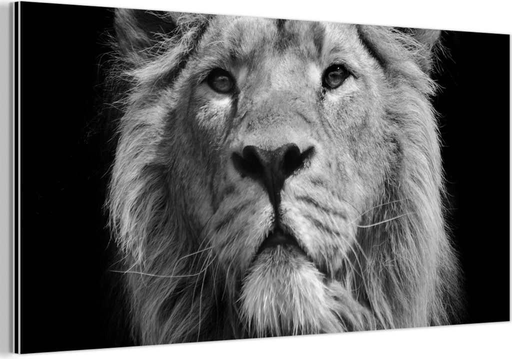 MuchoWow Wanddekoration Metall Metallbild Wandkunst 80x40 cm Asiatischer Löwe vor schwarzem Hintergrund in Schwarz und Weiß MuchoWow Aluminium Ge...