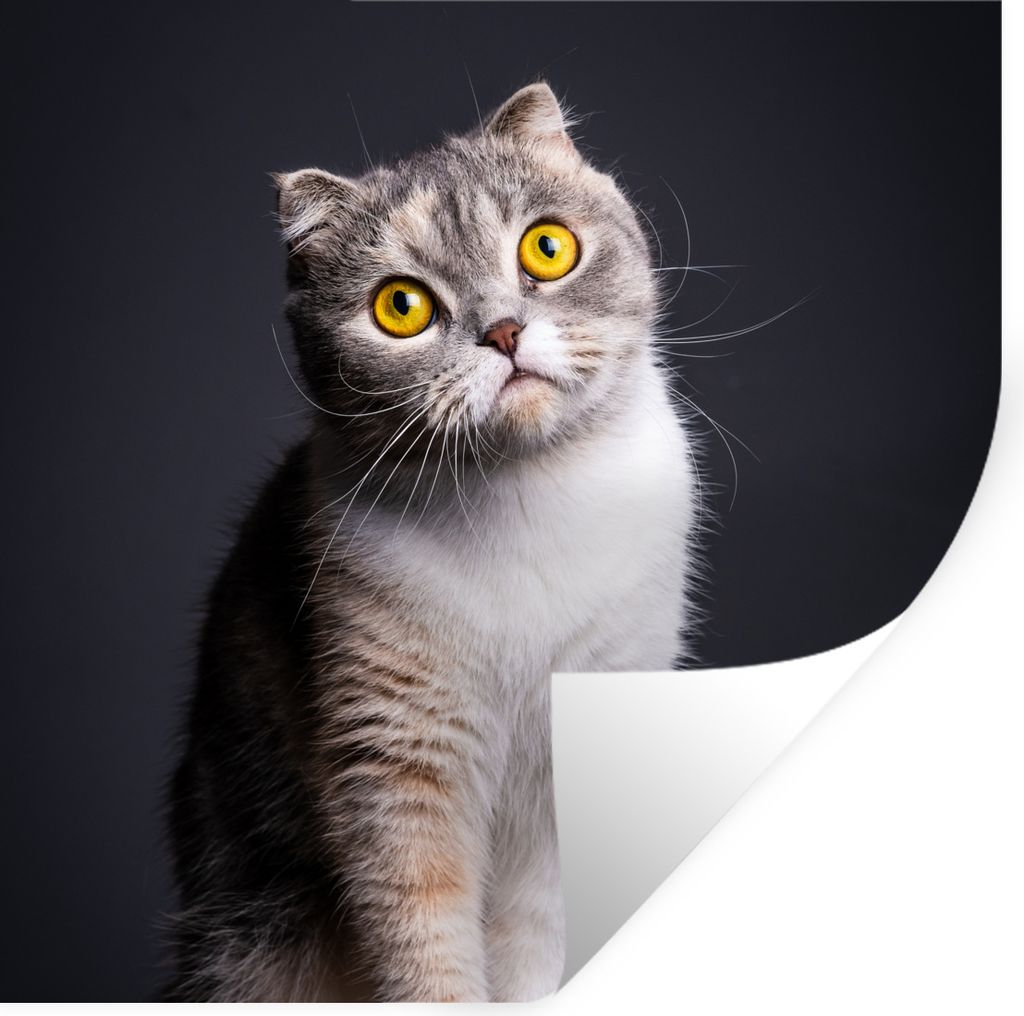 MuchoWow Wandtattoo Wandsticker Wandaufkleber Katze - Augen - Licht 50x50 cm Selbstklebend und Repositionierbar