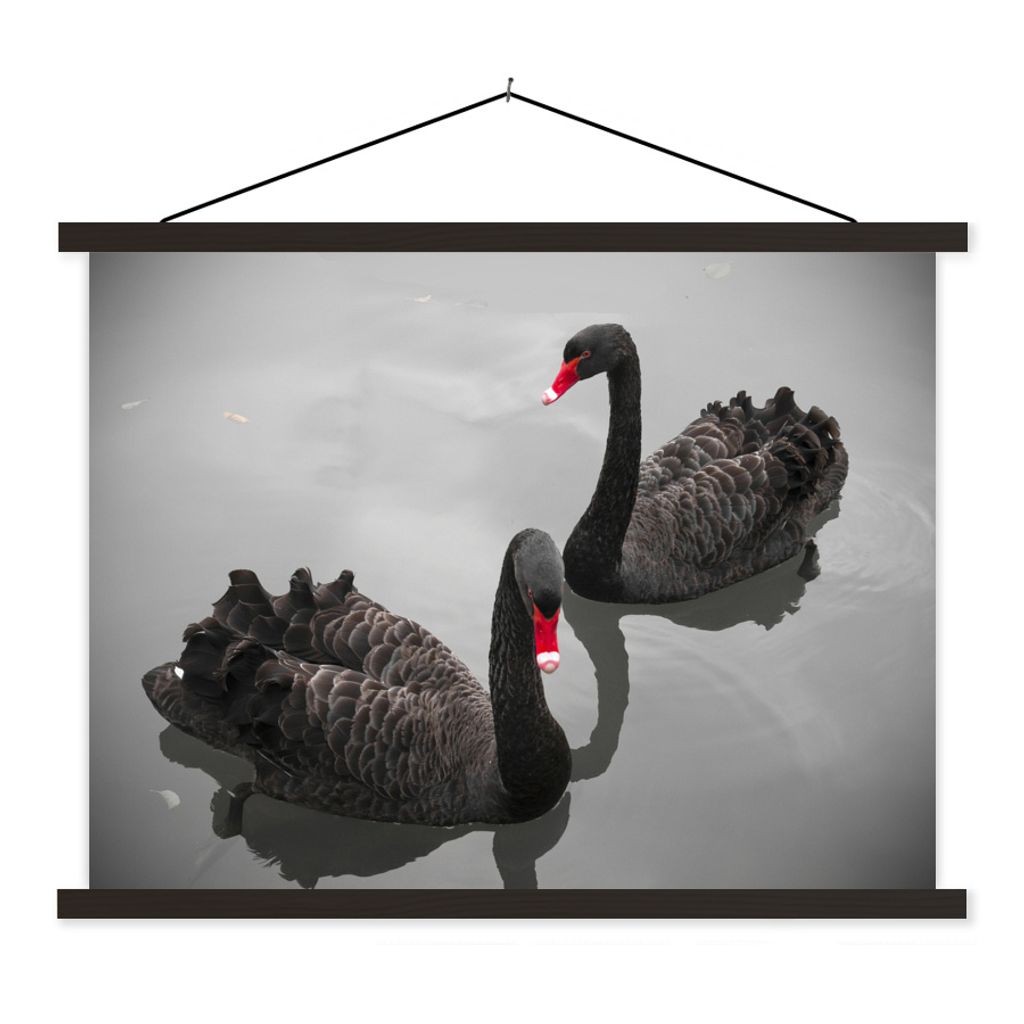 MuchoWow Textilposter Schwäne - Schwarz - Wasser 40x30 cm mit schwarzem Rahmen - Dekorationen