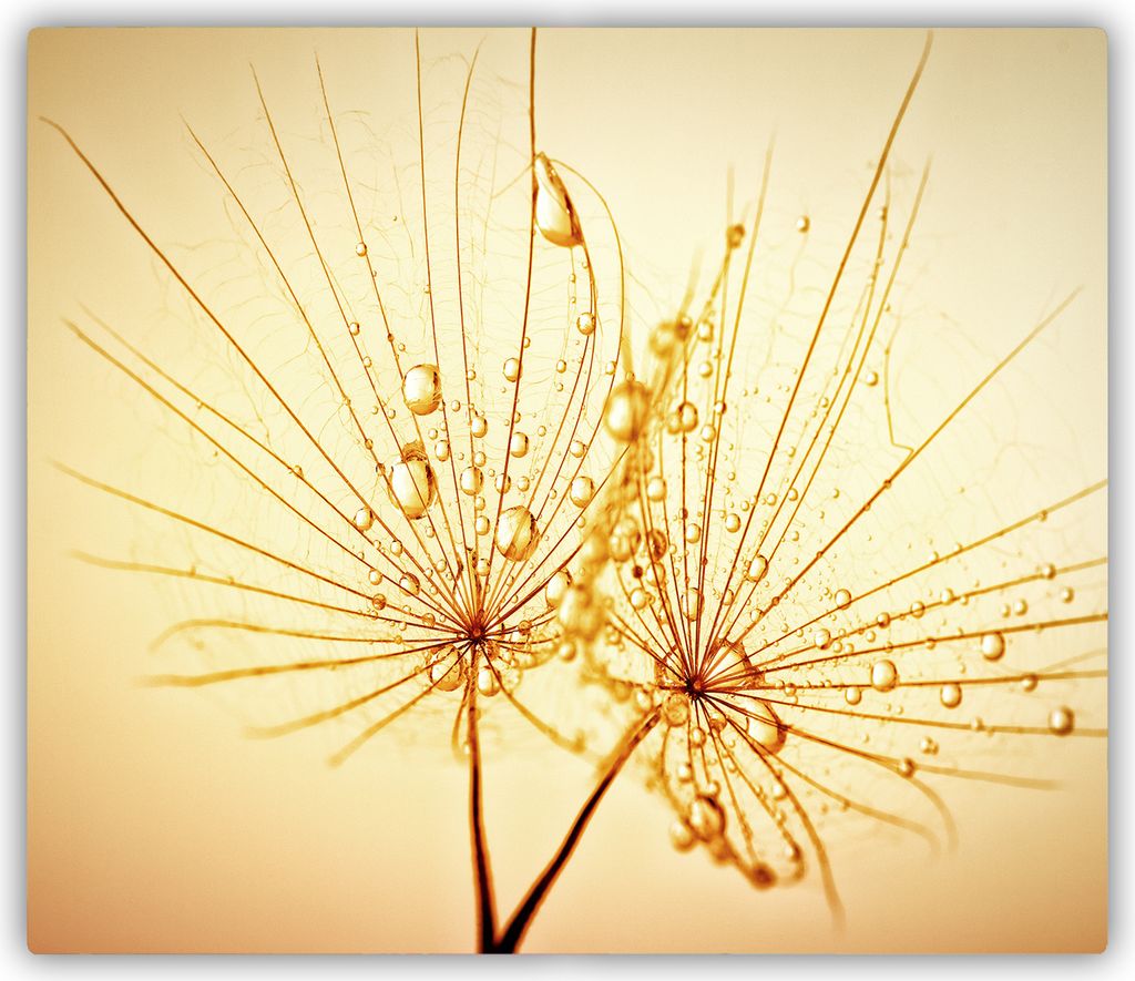 Tulup Glas Herdabdeckplatte Glaskeramikkochfeld-Abdeckung Spritzschutz Glasabdeckplatte Kochplattenabdeckung und Schneidebrett - Einteilig - 60x52 ...