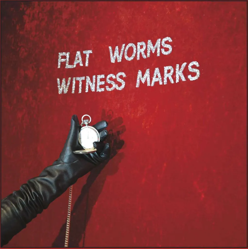 Album Vinyle Witness Marks par Flat Worms - Disque LP Rock Indé 12"