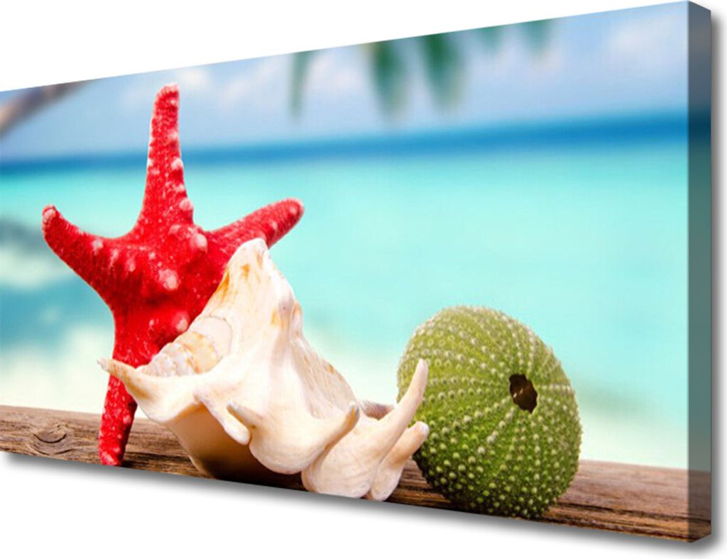 Tulup Leinwand-Bilder 100x50 Wandbild Canvas Kunstdruck Südsee Seestern Muscheln Kunst