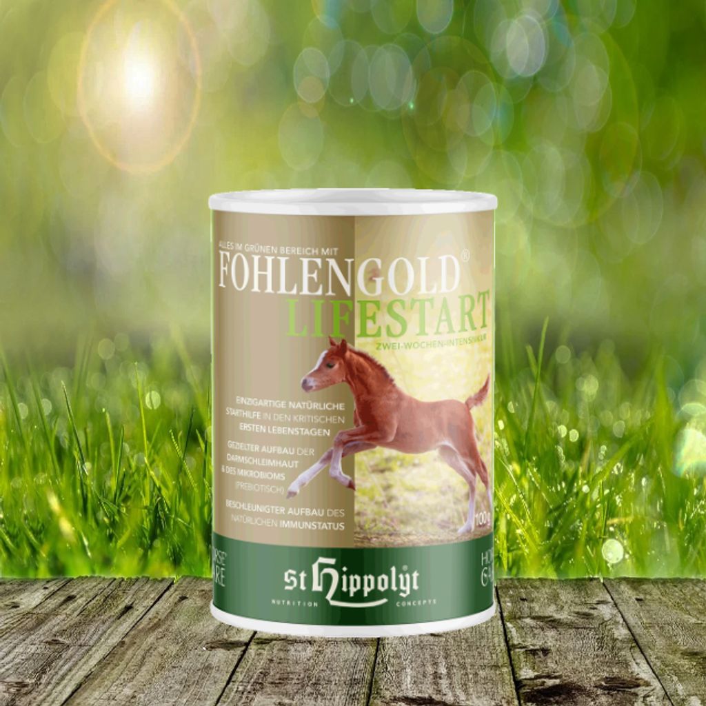 St. Hippolyt Fohlengold Lifestart 100g start to live