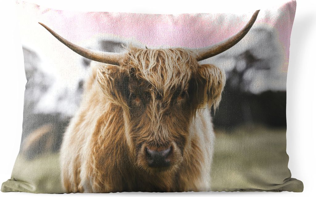 MuchoWow Outdoor Kissen - Schottisches Hochlandrind - Porträt - 60x40 cm - Wetterfest - Lounge Kissen - Zierkissen - Kissen für Innenräume