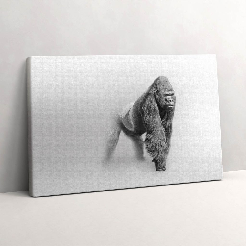 Wildtier-Kunstsammlung – Leinwandbild Wandbild – 30x20 cm – Leinwandbilder – Wandbilder – Schlafzimmer – Flur