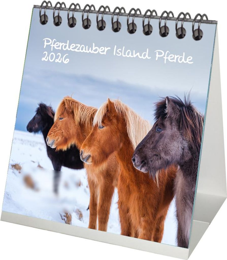 Pferdezauber Island Pferde Tischkalender 10cm x 10cm für 2026 Pferde und Fohlen - Set: 1x Kalender 1x Weihnachtsanhänger 1x Grußanhänger (gesam...