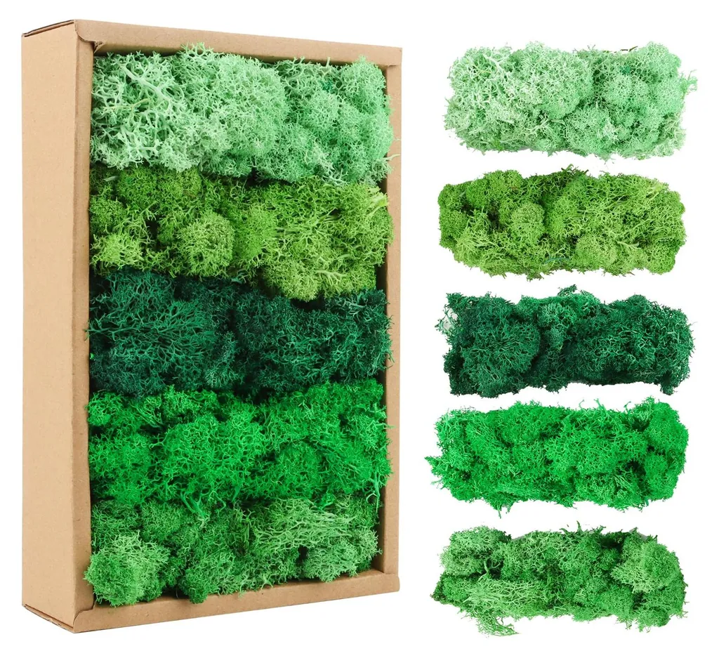 Mousse Décorative Naturelle 200g - Pack de 5 Variétés pour Artisanat