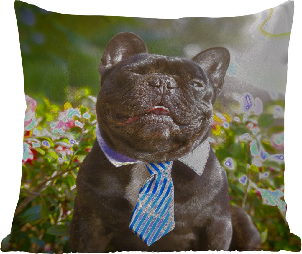 MuchoWow Outdoor Kissen - Französische Bulldogge - Krawatte - Blau - 50x50 cm - Wetterfest - Lounge Kissen - Komfortabel - Kissen mit Bild