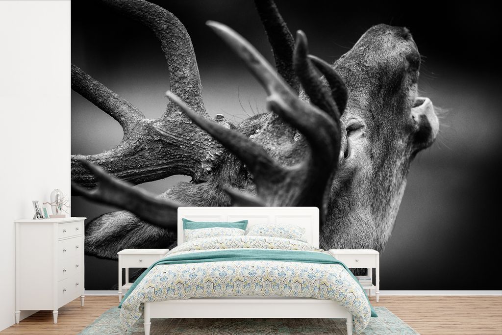 MuchoWow Fototapete für Wohnzimmer oder Schlafzimmer Wandtapete Vinyl Motivtapete Geweih - Hirsch - Schwarz - 330x220 cm - Fototapeten