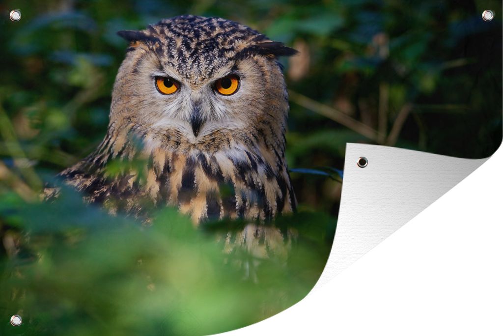 MuchoWow 60x40 cm Outdoor-Poster Gartendeko Sichtschutz Garten Poster für den Garten Ein europäischer Uhu tief im Wald