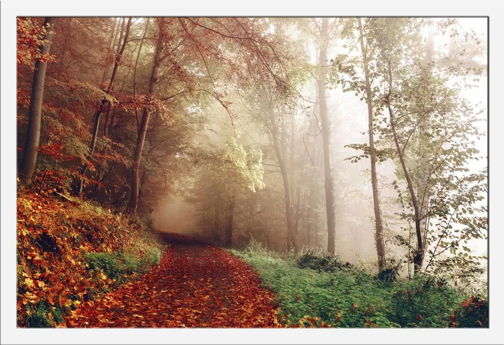 Tableau Mural Forêt d'Automne avec Cadre Blanc Shinsuke et Vitre Pro