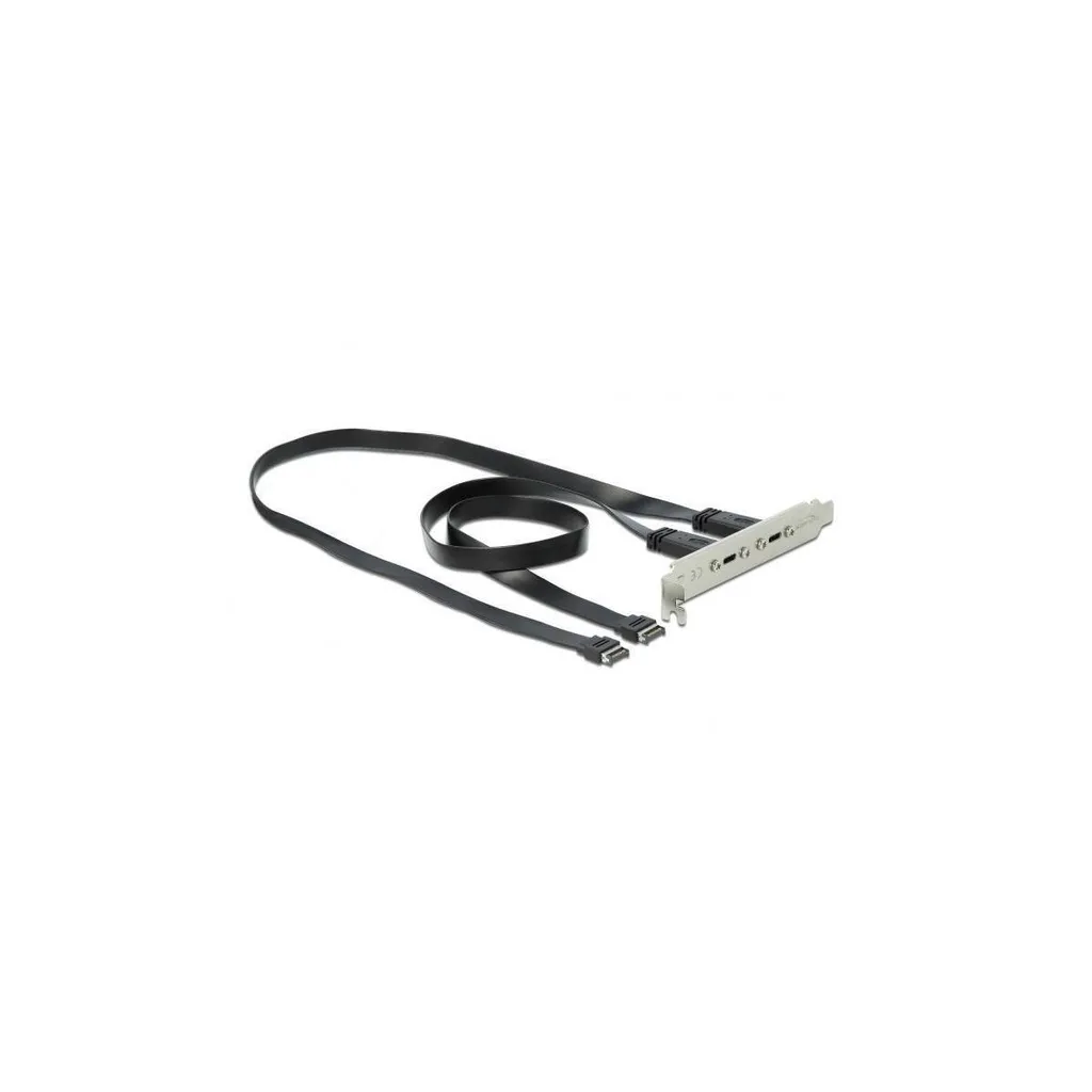 Delock Slotblech USB 3.1 Gen 2 avec 2 ports USB Type-C Haute Vitesse