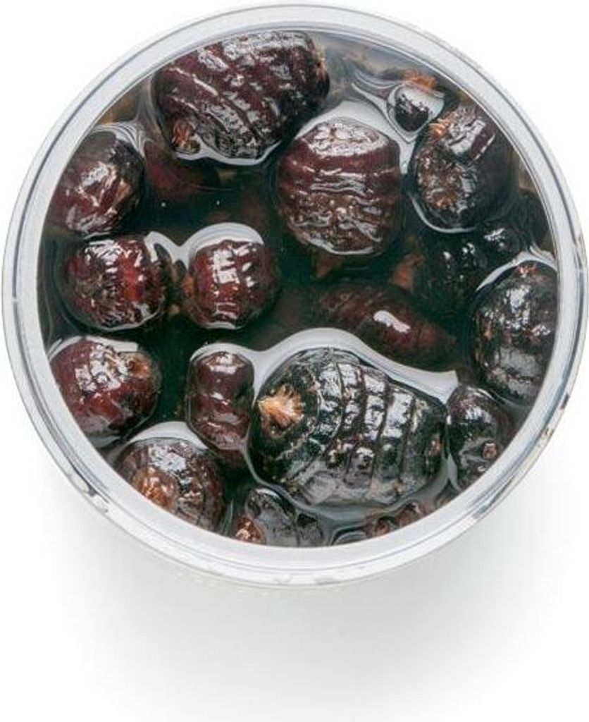 Mivardi Tigernuss Jumbo Black 250 ml Produktbild 