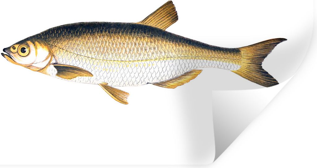 MuchoWow - Wierderverwendbar - Selbstklebend