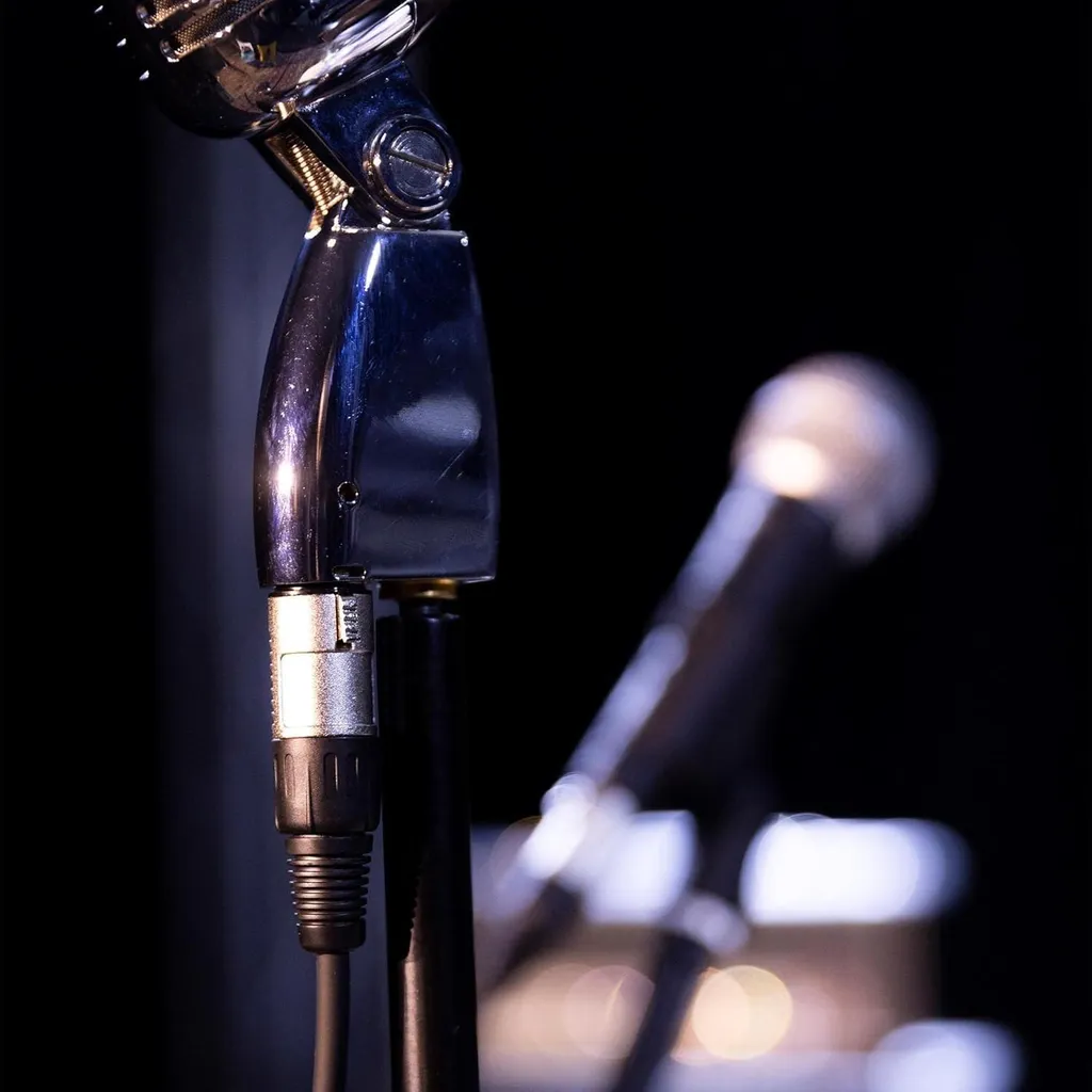 Cavo Microfono XLR 10m Stagg SMC10 CPP Viola - Offerta Speciale - 10