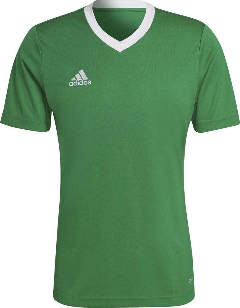 adidas Entrada 22 Trikot L TEAGRN/WHITE Produktbild 