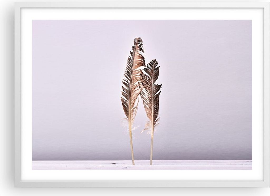 Gerahmtes Poster - Weißer Rahmen - Zwei Federn Flieder - 70x50 cm - Wand Bild - Wanddeko - Wandbilder - Kunstposter - Wandposter - Bilderrahmen - ...