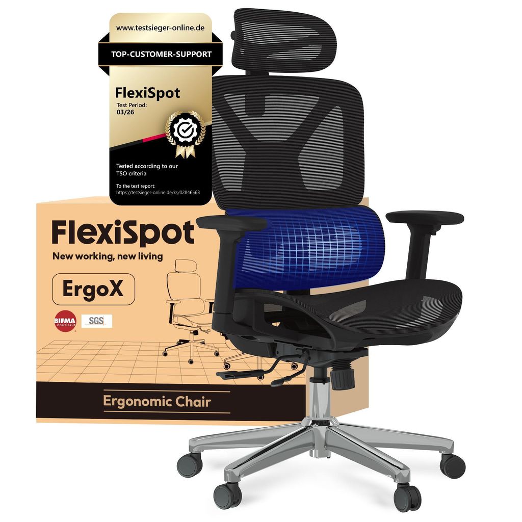 FLEXISPOT ErgoX Ergonomischer Bürostuhl Schreibtischstuhl 3D-Armlehnen&Kopfstütze 5D-verstellbare Rückenlehne Tragfähigkeit von 136 kg Schwarz