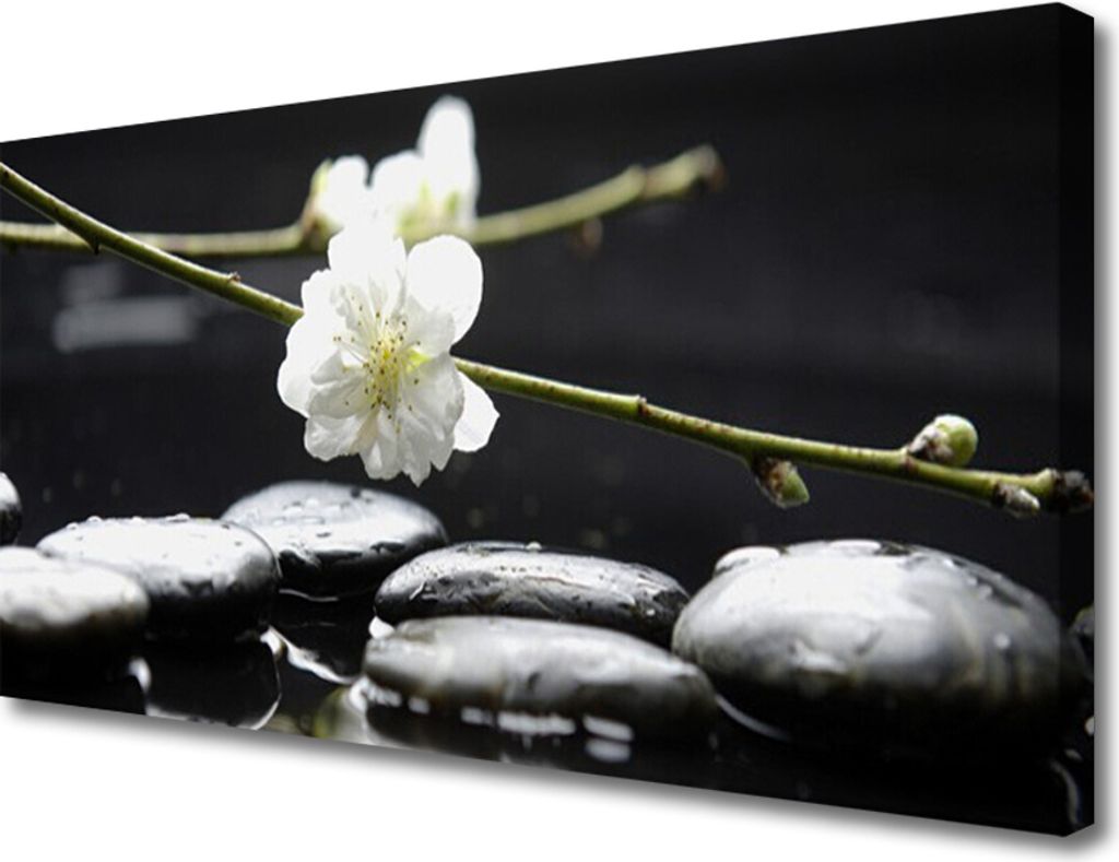 Tulup Leinwand-Bilder 100x50 Wandbild Canvas Kunstdruck Blumen Steine Kunst