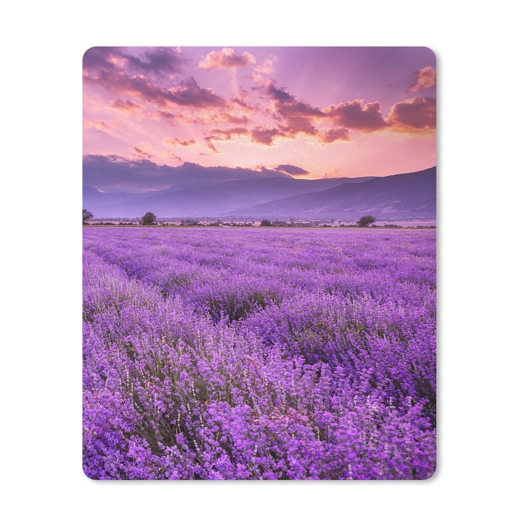 MuchoWow Mauspad Mousepad Lavendel - Lila - Blumen - Feld 30x40 cm - Mousepads - Maus Mat - Pad - Mausunterlage - Mausmatten