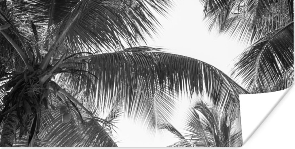 MuchoWow Poster Palmwedel - Vintage - Natur 80x40 cm - Wanddeko