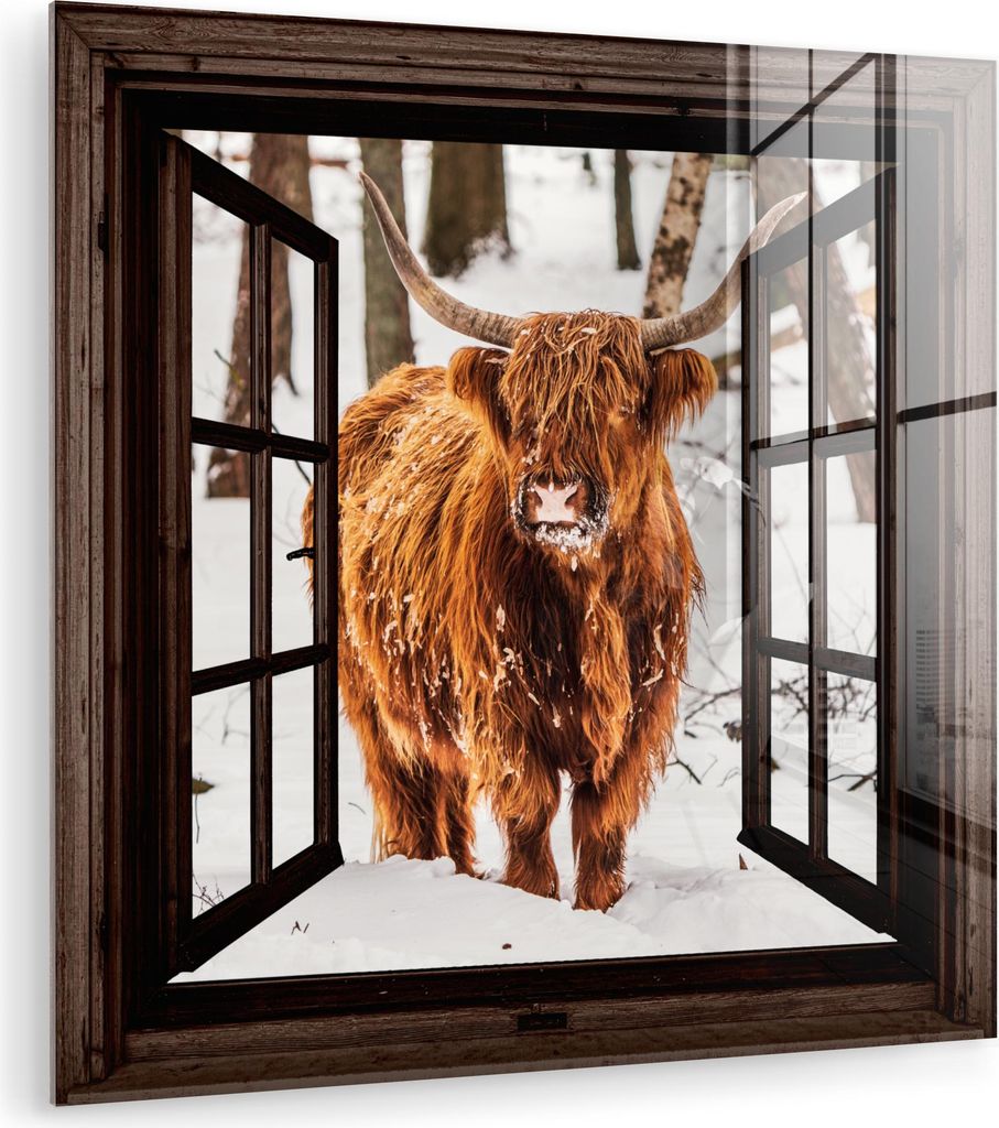 MuchoWow Glasbilder - Bilder auf Wandbild - Foto auf Glas Schottisches Hochlandrind - Schnee - Natur - Tiere - Durchsichtig - Winter 30x30 cm Wandd...