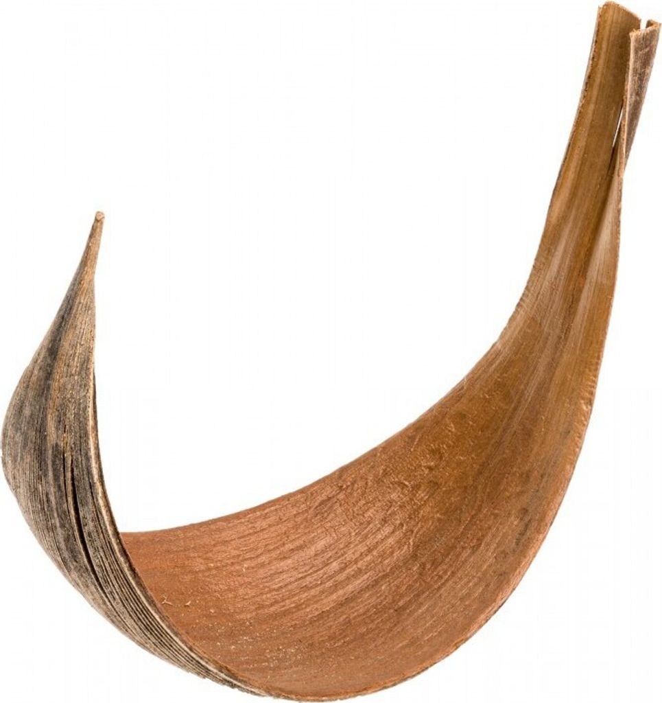 Kokosblatt medium Galera 5 Stück