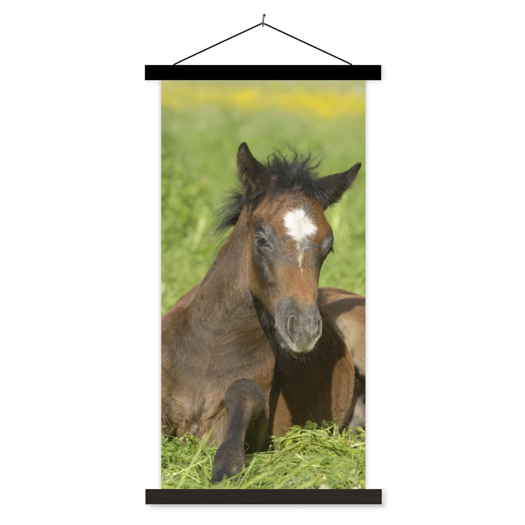 MuchoWow Textilposter Pferde - Licht - Gras 60x120 cm mit schwarzem Rahmen - Magnete