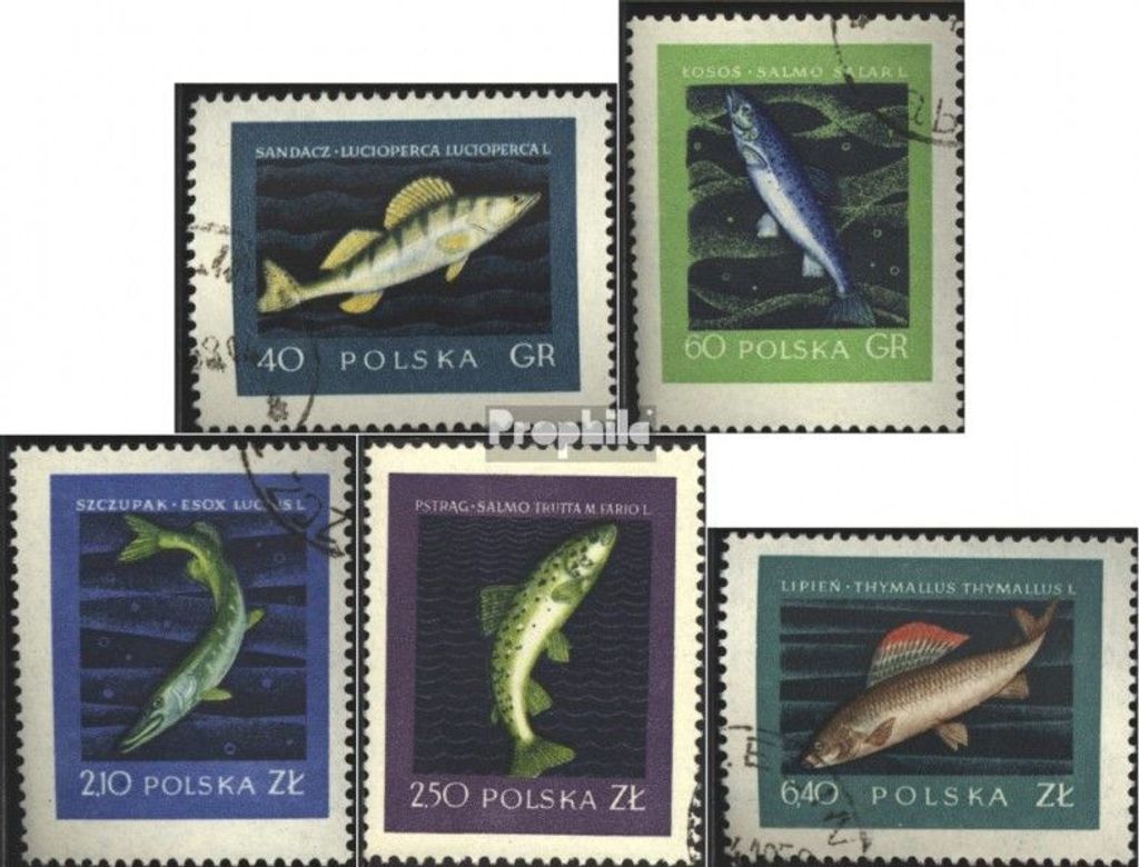 Briefmarken Polen 1958 Mi 1051-1055 (kompl.Ausg.) gestempelt Edle Fische