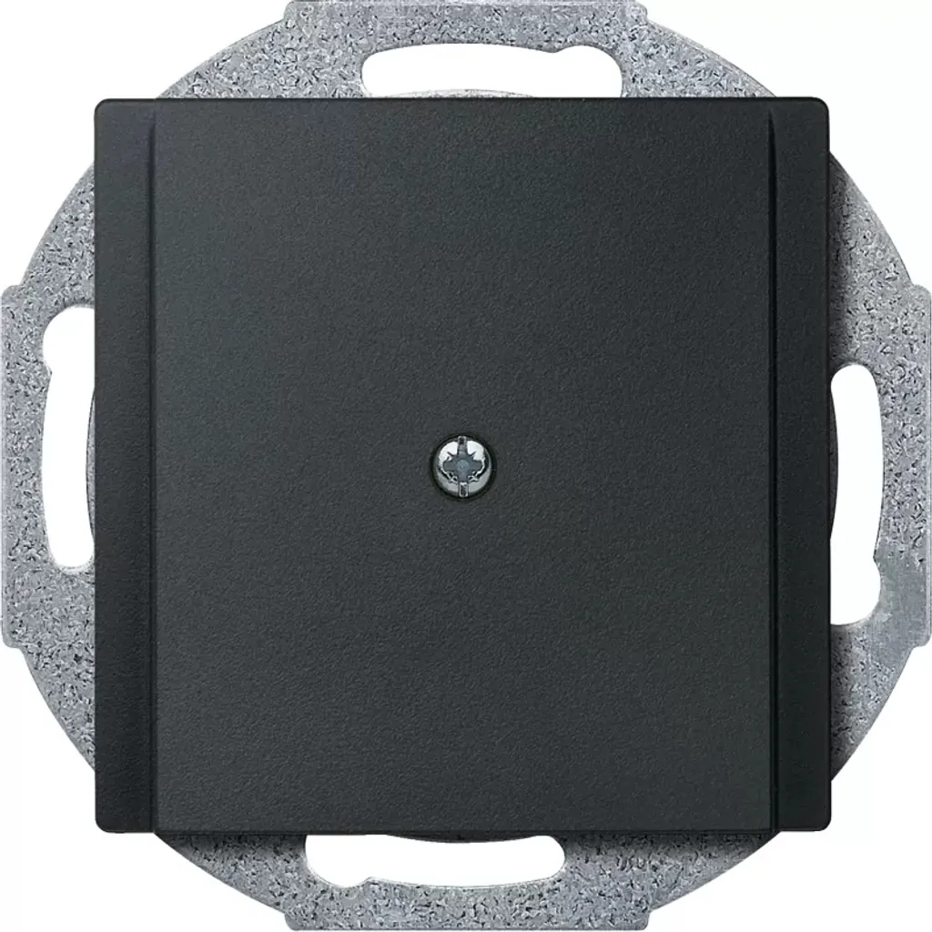 Plaque de Finition Anthracite Merten 295614 pour Cadre d'Interrupteur