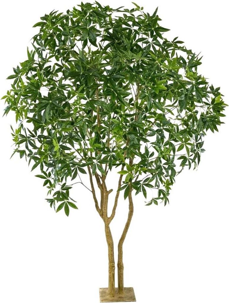 Emerald Künstliche Glückskastanie - Mitsu | 285 cm, für drinnen, Kunstbaum, wie echt, Allergiker geeignet, pflanzliche Dekoration Praxis, Office...