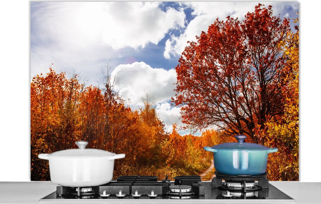 KitchenYeah Spritzschutz Küche - Küchenrückwand - Wandschutz für Herd und Spüle - Baum - Weg - Herbst 120x80 - Alu-Dibond (Alternative zum ...