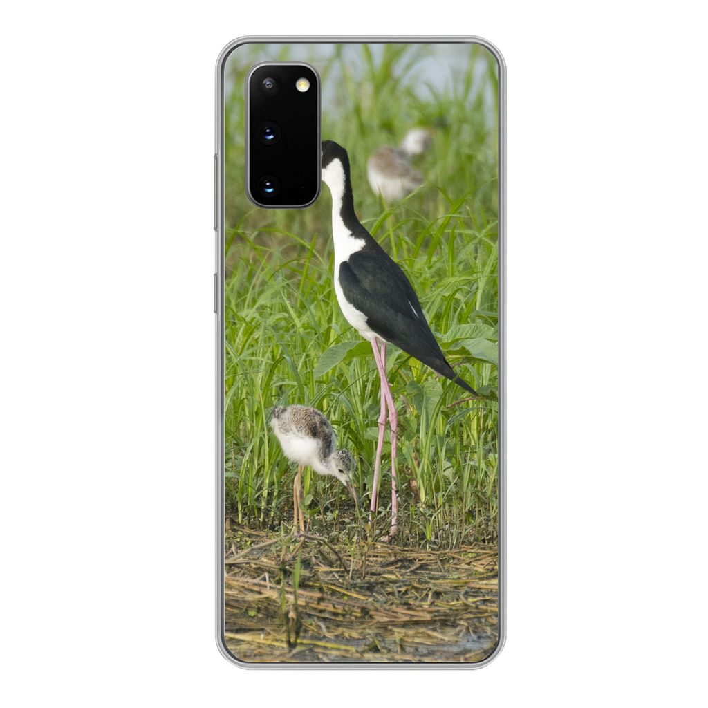 MuchoWow Handyhülle Schutzhülle Hülle für Samsung Galaxy S20 Vogel - Gras - Küken - Sumpf Silikon Softcase Handy Hülle - Bild