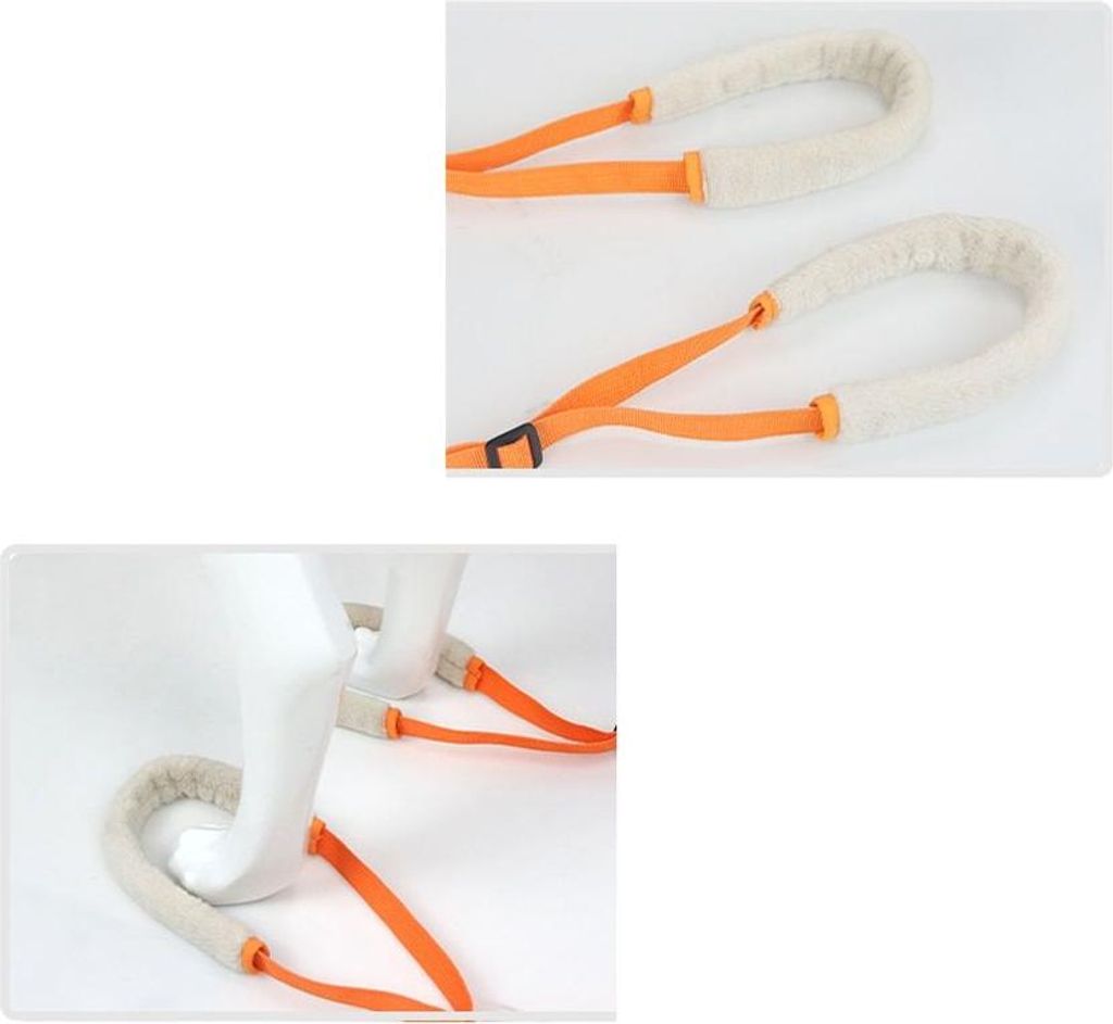 Stützgeschirr für Hunde, 40-70 cm, Orange/Weiß