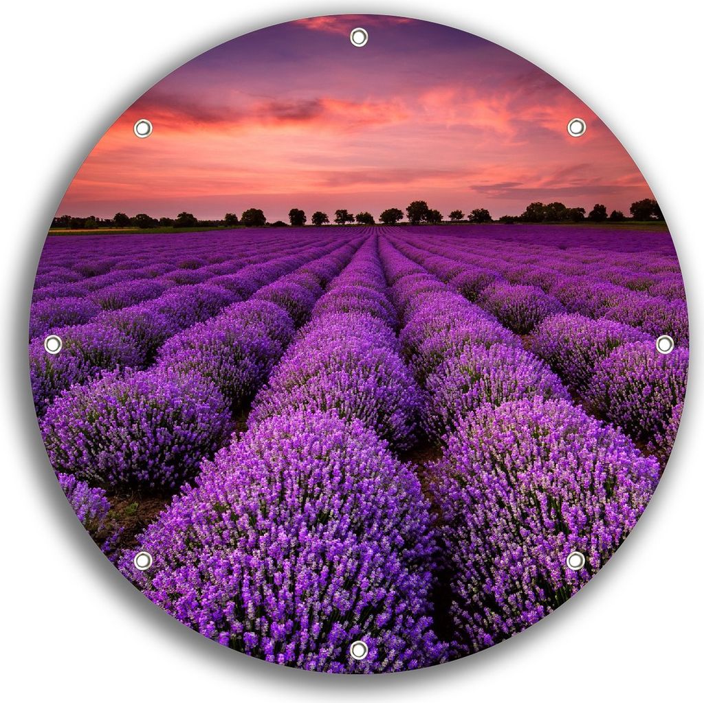 Wallario rundes Outdoor-Poster für Garten oder Balkon, Motiv Lavendelfeld unter rotem Himmel, 30 cm Durchmesser