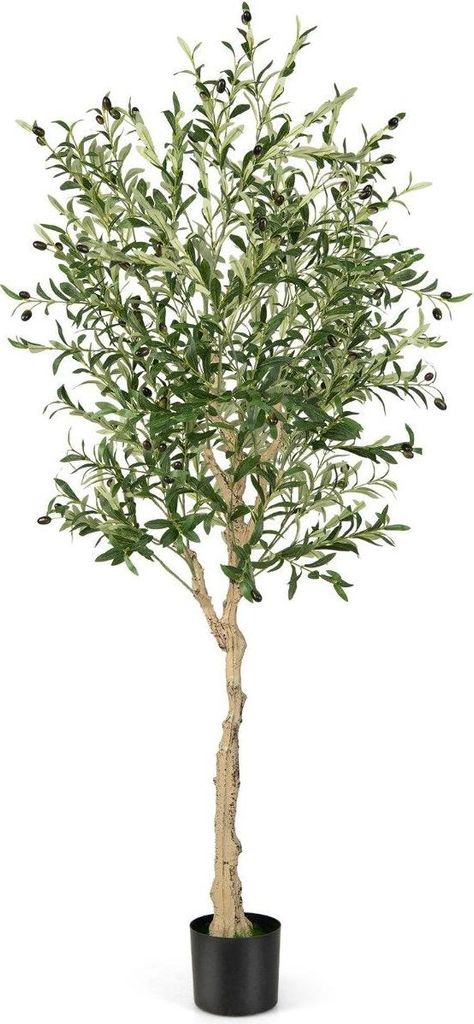 Olivo artificiale con 1296 foglie e 72 frutti piante di Immagine del prodotto 