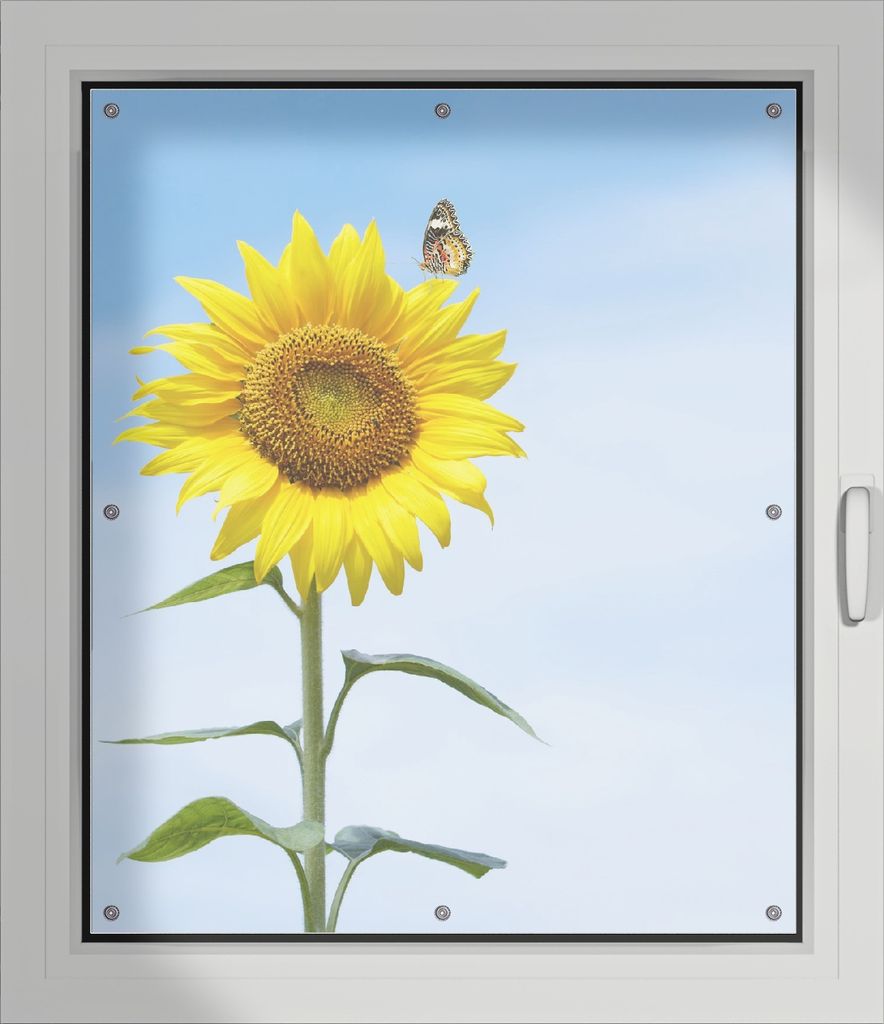 Wallario Lichtschutzbild, Dekorativer Sichtschutz Sonnenschutz 96 x 115 cm mit Motiv: Sonnenblume mit Schmetterling - Verdunklung ohne Bohren