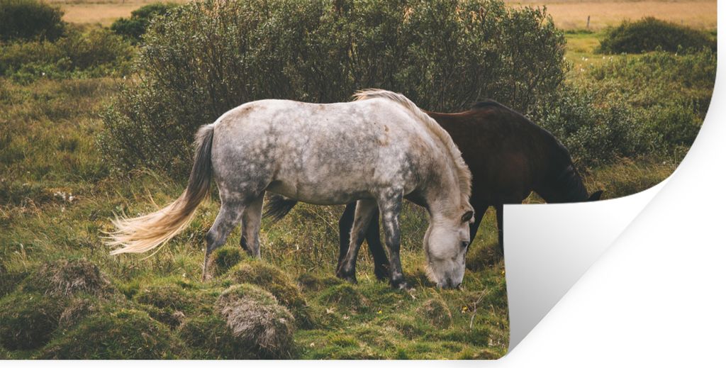 MuchoWow - Sticker - Dekorfolie