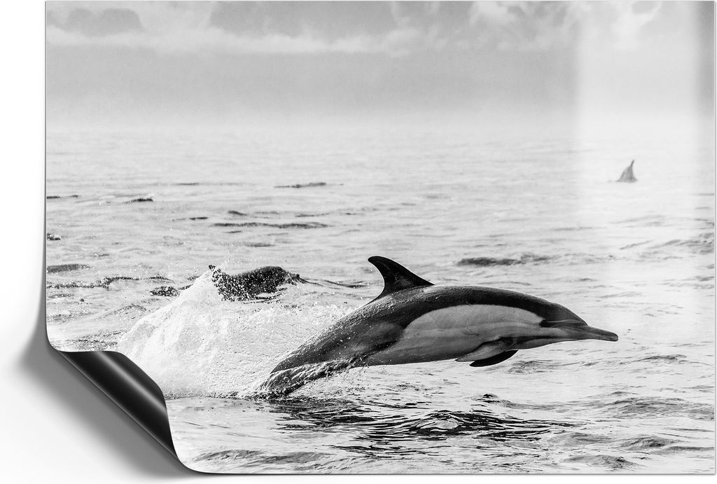 DEQORI Magnetmatte Universal 42x30 cm (A3) 'Freie Sprünge' Magnetfolie Kalender Planer